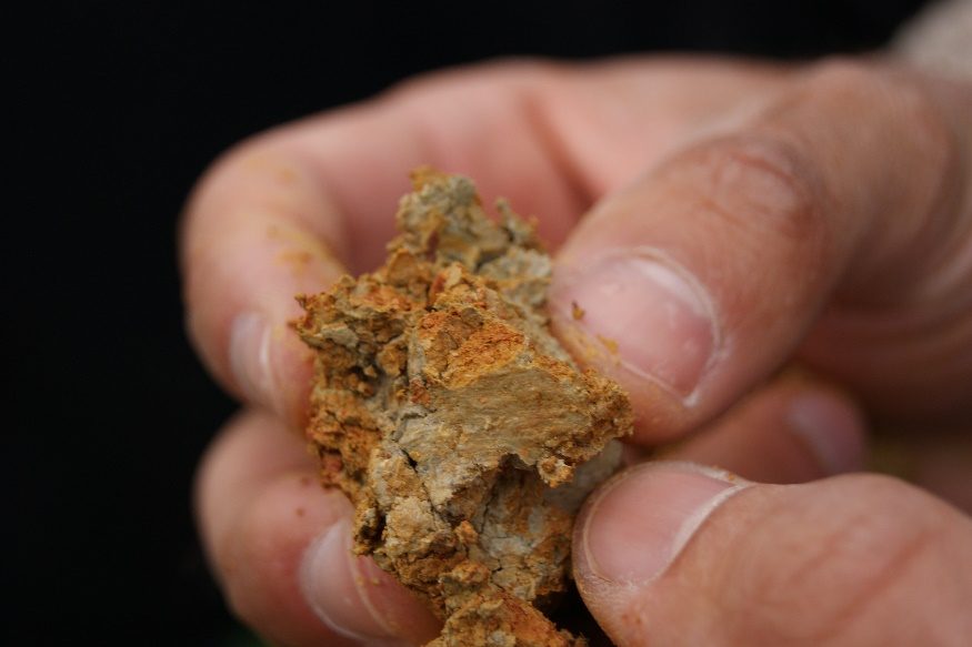 Motte de terre argileuse dans une main